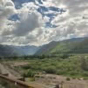 Meet your Posher, Carly